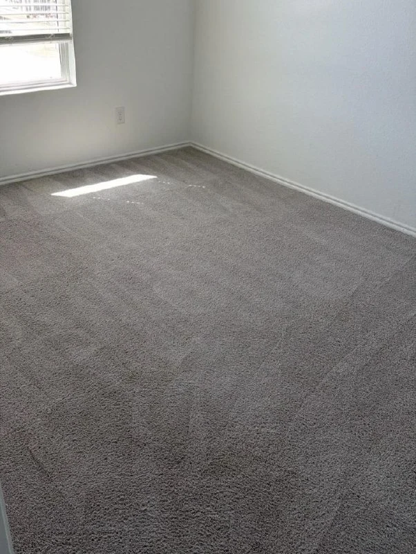 Carpet after professional steam cleaning