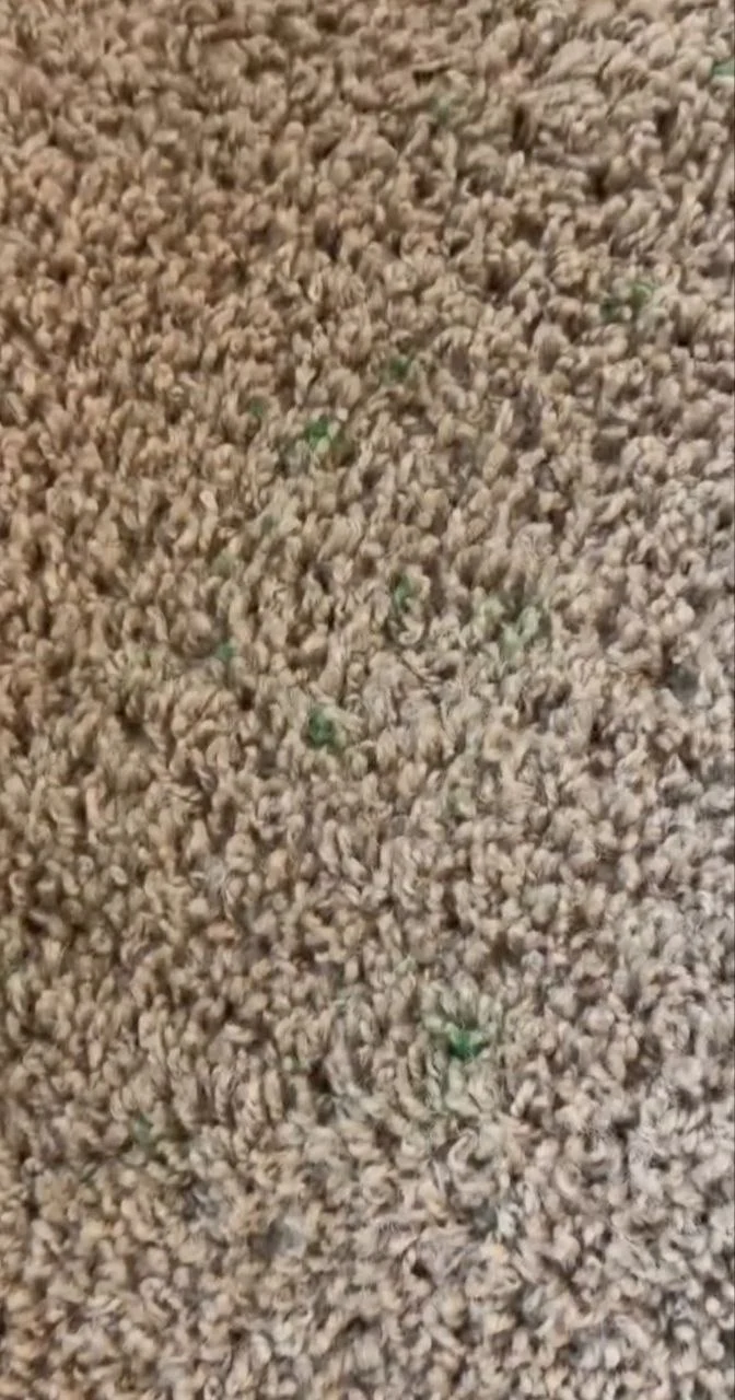 Stain removal video thumbnail